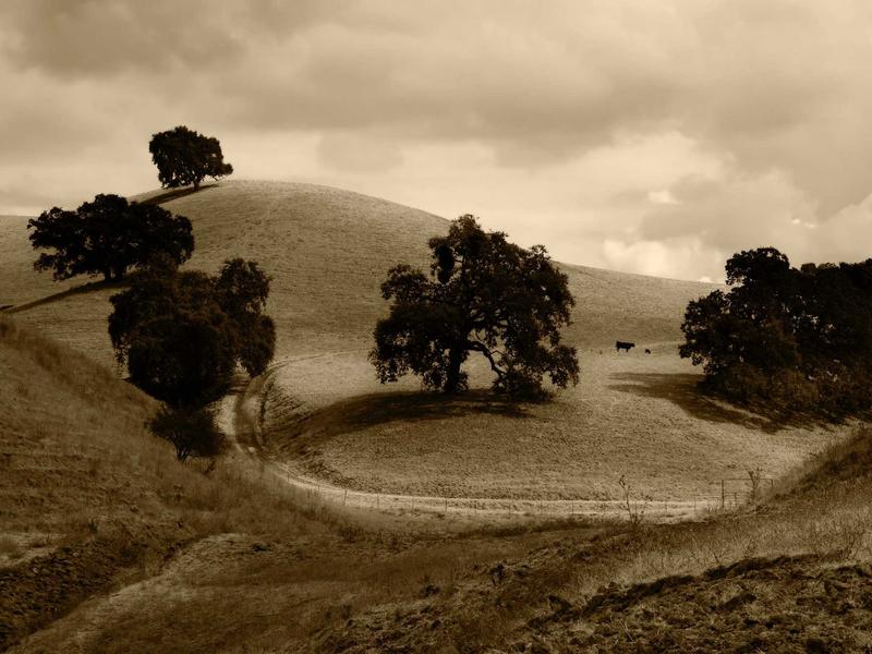 sudoku timer challenge screenshot 2