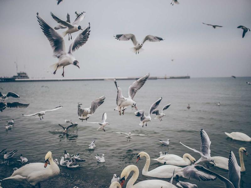 sudoku mega pack screenshot 5