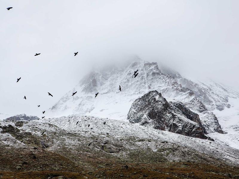 sudoku local leaderboard screenshot 3